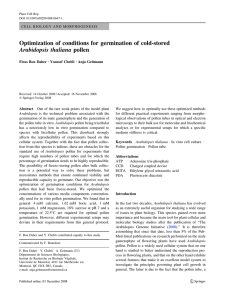 Optimization of conditions for germination of cold-stored Arabidopsis thaliana pollen