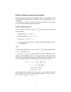 Positive deﬁnite matrices and minima