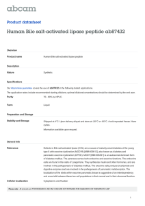 Human Bile salt-activated lipase peptide ab87432 Product datasheet Overview Product name