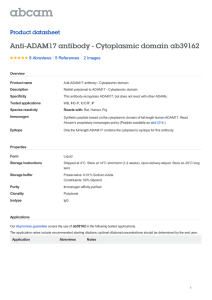Anti-ADAM17 antibody - Cytoplasmic domain ab39162 Product datasheet 8 Abreviews 2 Images