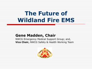 The Future of Wildland Fire EMS Gene Madden, Chair