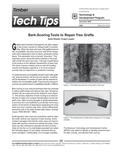 Tech Tips G Timber Bark-Scoring Tools to Repair Tree Grafts