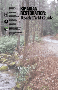 RIPARIAN RESTORATION: Roads Field Guide
