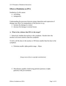 Effects of Radiation on DNA