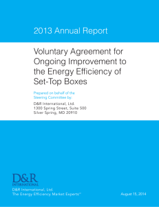 2013 Annual Report Voluntary Agreement for Ongoing Improvement to the Energy Efficiency of