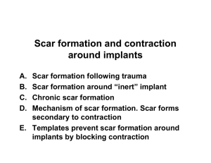 Scar formation and contraction around implants