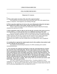 2.785J/3.97J/20.411J/HST.523J  CELL-MATRIX MECHANICS Homework  #6  Answers