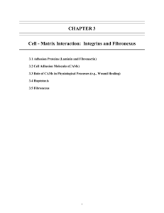 CHAPTER 3  Cell - Matrix Interaction:  Integrins and Fibronexus