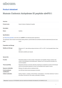 Human Carbonic Anhydrase IX peptide ab47011 Product datasheet Overview Product name