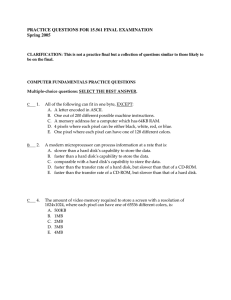 PRACTICE QUESTIONS FOR 15.561 FINAL EXAMINATION Spring 2005