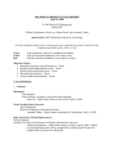 MIT PORTAL PROJECT STATUS REPORT April 14, 2005  15.568 Practical IT Management