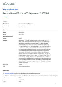 Recombinant Human CD26 protein ab158308 Product datasheet 1 Image Overview