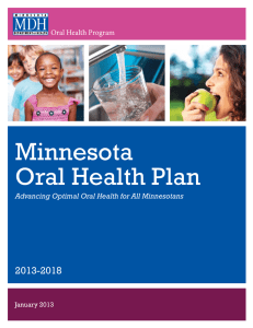 Minnesota Oral Health Plan  2013-2018