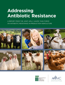 Addressing Antibiotic Resistance ON ANTIBIOTIC RESISTANCE IN PRODUCTION AGRICULTURE
