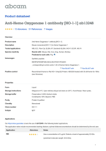 Anti-Heme Oxygenase 1 antibody [HO-1-1] ab13248 Product datasheet 13 Abreviews 7 Images