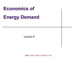 Economics of Energy Demand Lecture 8