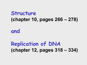 Structure and Replication of DNA – 278)