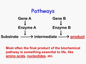 Pathways Gene A Gene B Enzyme A