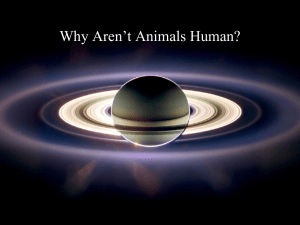 Why Aren’t Animals Human?