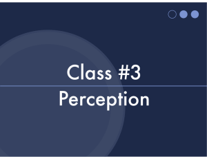 Class #3 Perception