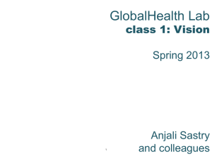 GlobalHealth Lab class 1: Vision  Anjali Sastry