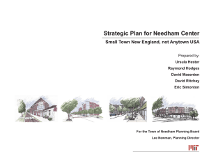 Strategic Plan for Needham Center Prepared by Ursula Hester