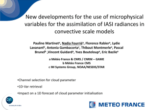 New developments for the use of microphysical convective scale models