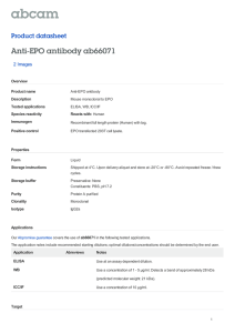 Anti-EPO antibody ab66071 Product datasheet 2 Images Overview