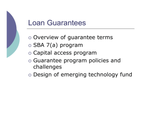 Loan Guarantees