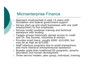 Microenterprise Finance