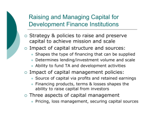 Raising and Managing Capital for Development Finance Institutions