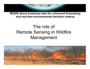 The role of Remote Sensing in Wildfire Management