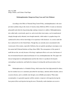 May 18, 2006 Drugs, Politics, and Culture: Final Paper