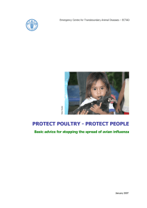 PROTECT POULTRY - PROTECT PEOPLE