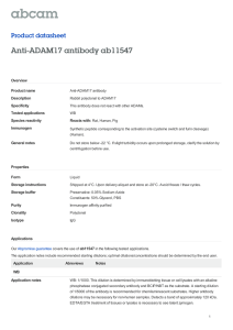 Anti-ADAM17 antibody ab11547 Product datasheet Overview Product name