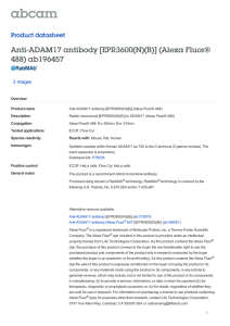 Anti-ADAM17 antibody [EPR3600(N)(B)] (Alexa Fluor® 488) ab196457