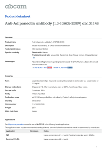 Anti-Adiponectin antibody [1.3-13A05-2D09] ab131148