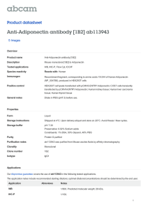 Anti-Adiponectin antibody [1B2] ab113943 Product datasheet 5 Images Overview
