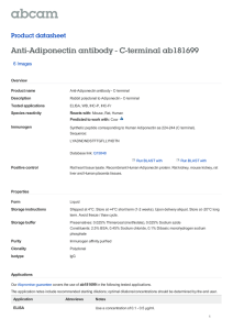 Anti-Adiponectin antibody - C-terminal ab181699 Product datasheet 6 Images Overview