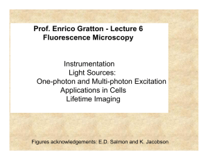Prof. Enrico Gratton - Lecture 6 Fluorescence Microscopy Instrumentation Light Sources: