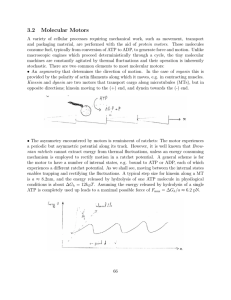 3.2 Molecular Motors