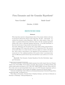 Firm Dynamics and the Granular Hypothesis ∗ Vasco Carvalho Basile Grassi