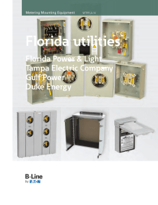 Florida utilities Florida Power &amp; Light Tampa Electric Company Gulf Power