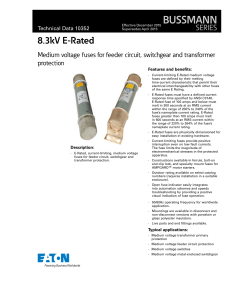 BUSSMANN 8.3kV E-Rated  SERIES