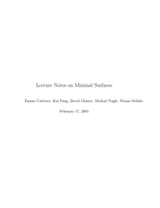 Lecture Notes on Minimal Surfaces February 17, 2005