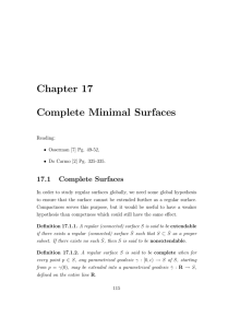 Chapter 17 Complete Minimal Surfaces 17.1 Complete Surfaces