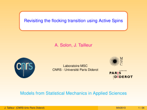 Revisiting the flocking transition using Active Spins A. Solon, J. Tailleur