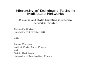Hierarchy of Dominant Paths in Multiscale Networks