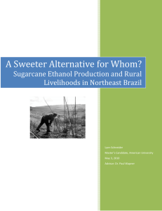 A Sweeter Alternative for Whom? Sugarcane Ethanol Production and Rural