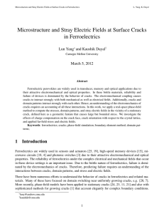 Microstructure and Stray Electric Fields at Surface Cracks in Ferroelectrics Lun Yang